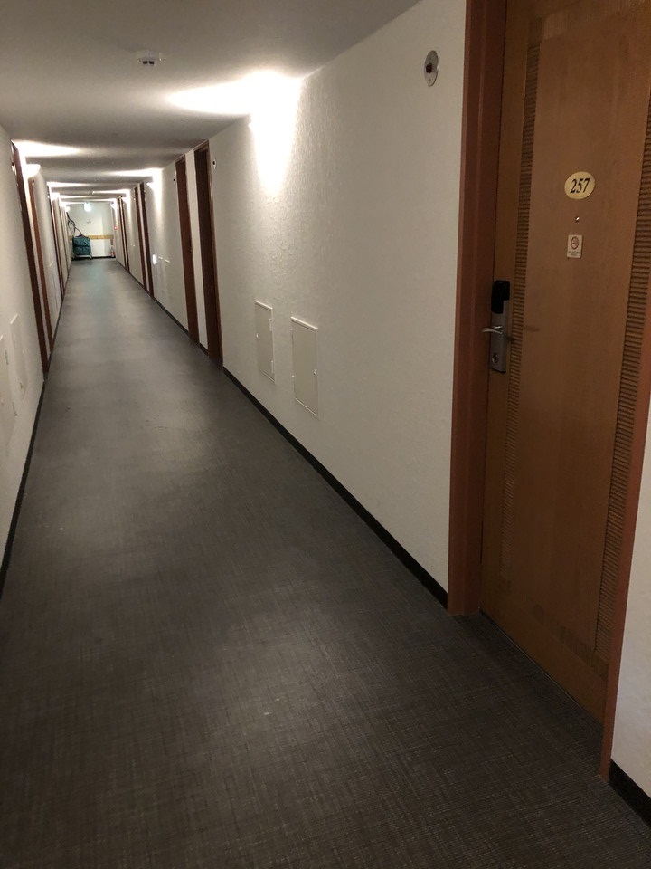 客室入口付近廊下
