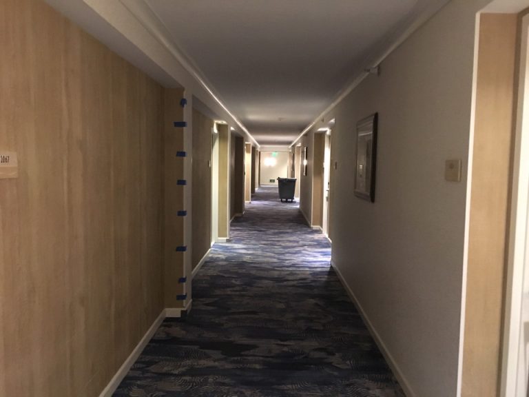 客室入口付近廊下