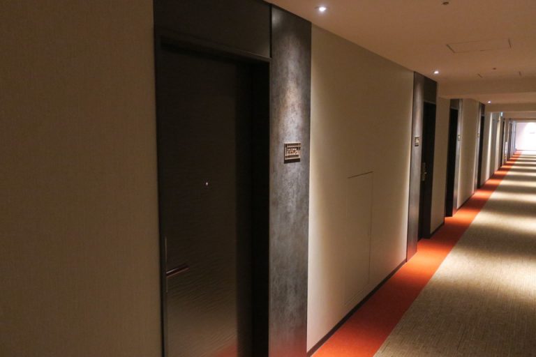 客室入口付近廊下