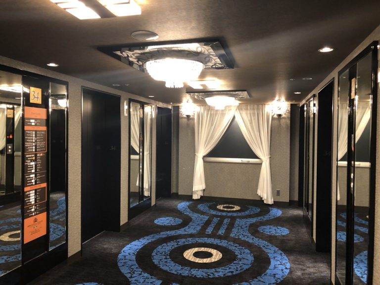 客室階エレベーターホール(3)