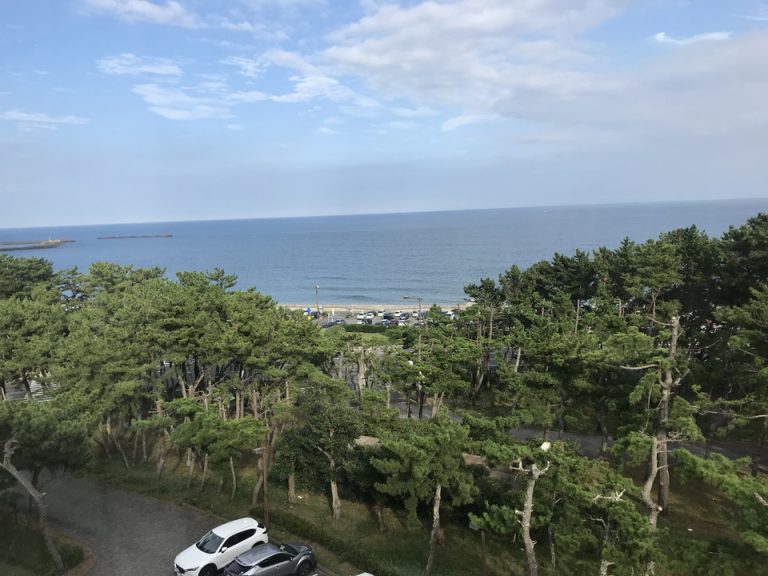 部屋からの眺望
