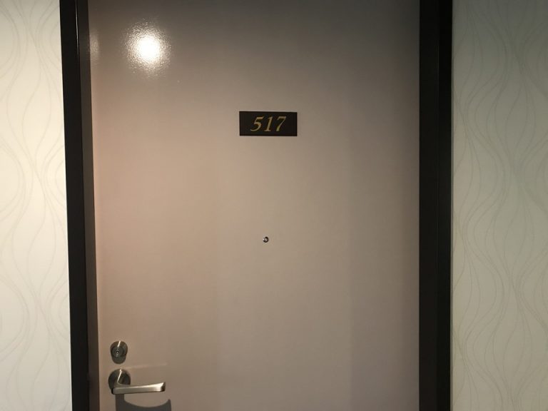 客室入口外観ドア