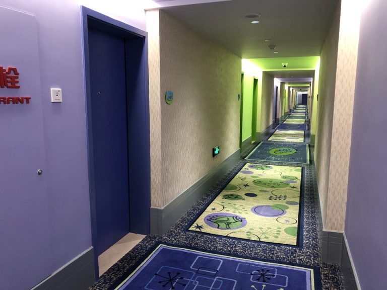 客室入口付近廊下_01