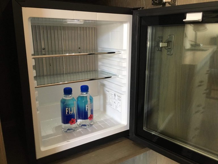 冷蔵庫(開けた状態)