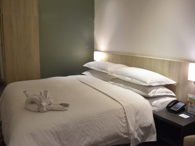 ベット窓側から