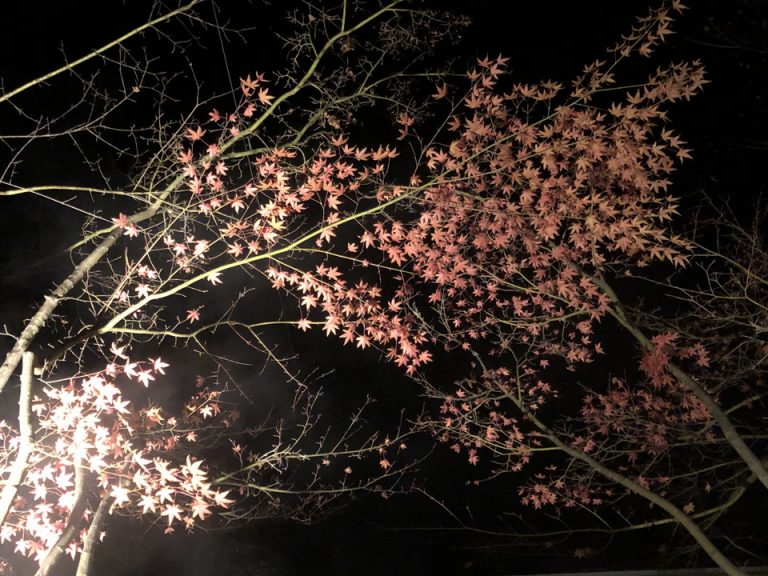 夜の楓乃湯 お風呂から見た紅葉(2)