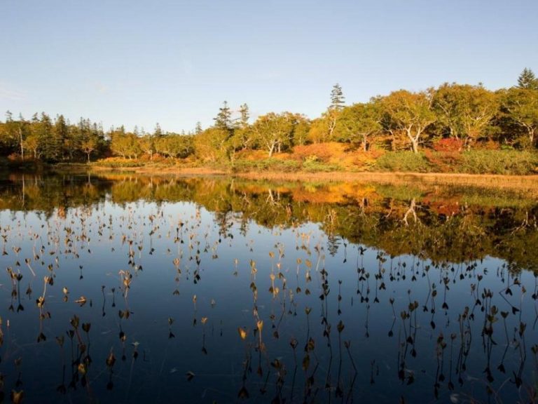 407422_17031013540051473076