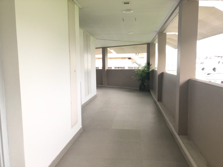 廊下には所々に緑がありました。