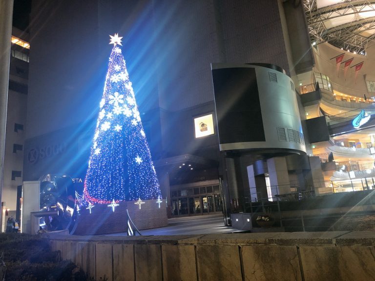 パセーラクリスマスツリー