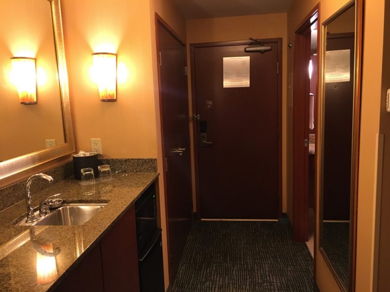 客室入口内観ドア