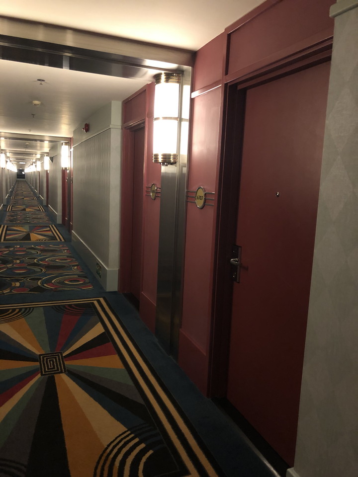 客室入口付近廊下