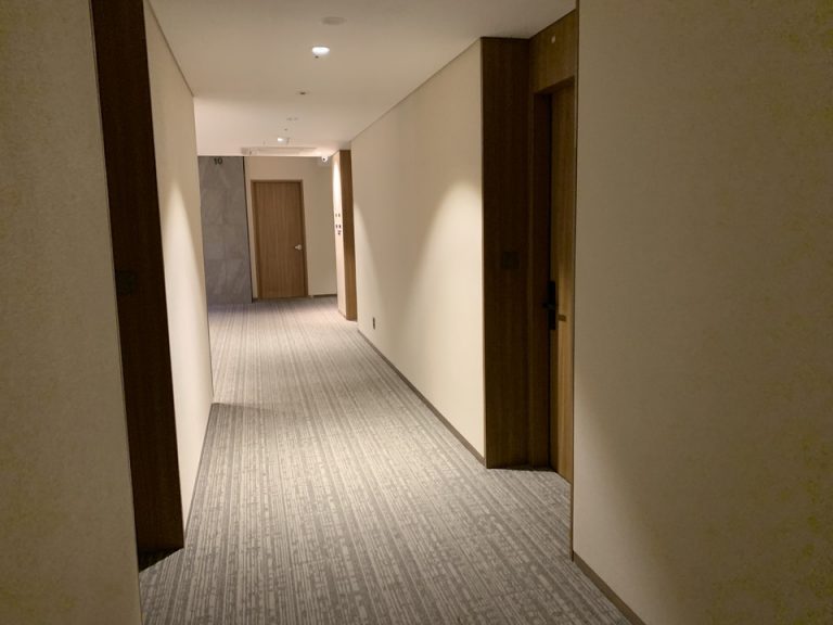 客室入口付近廊下