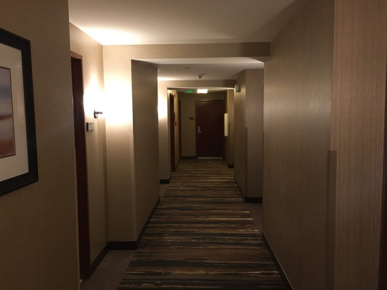 客室入口付近廊下