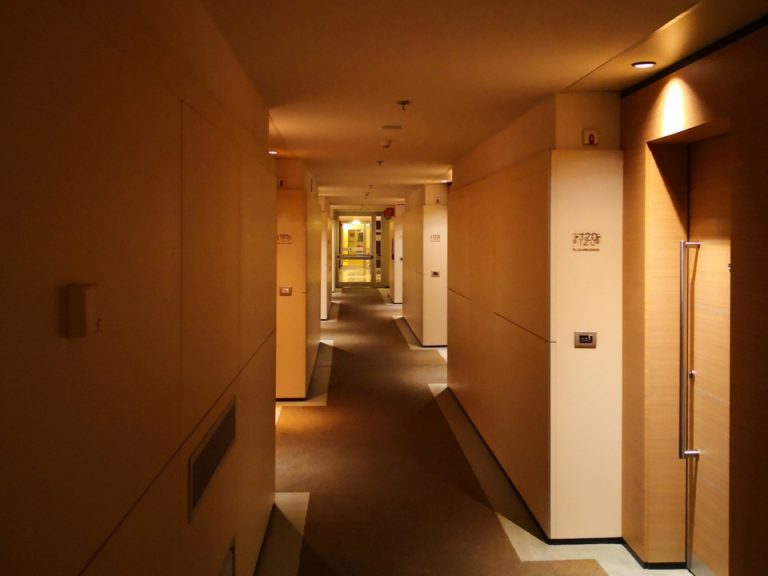 客室入口付近廊下