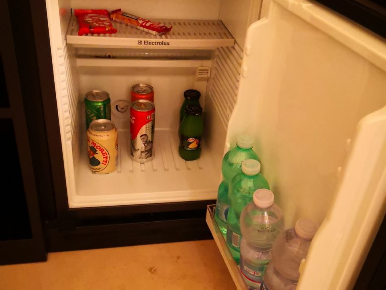 冷蔵庫(開けた状態)