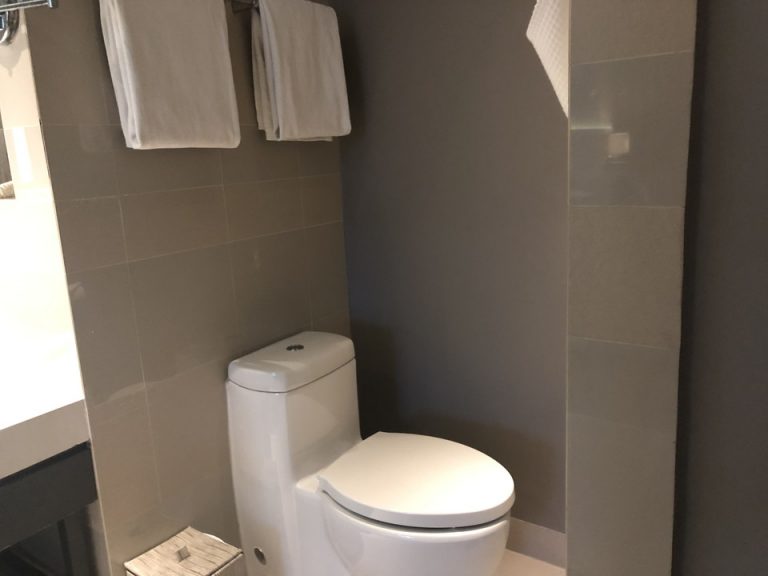 洗面所の隣にはトイレが。トイレットペーパーは2個しかありませんでした。