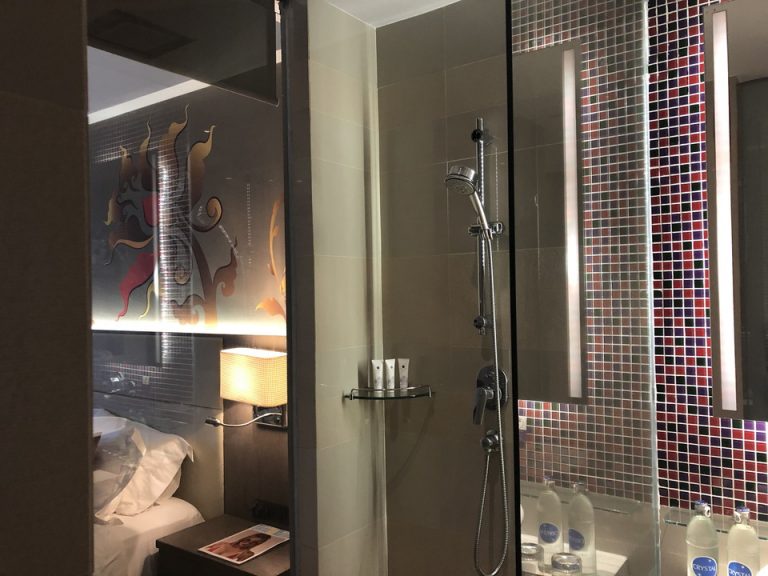 部屋とシャワー室の間はガラスでしたが、ブラインドがあったので、部屋からシャワー室が丸見えということはありませんでした。