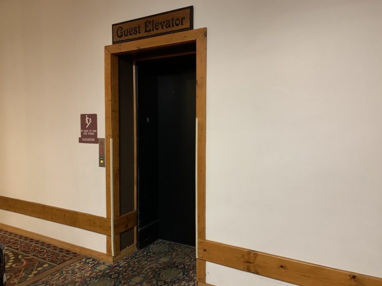 シンプルなエレベーターです。館内で1台です。