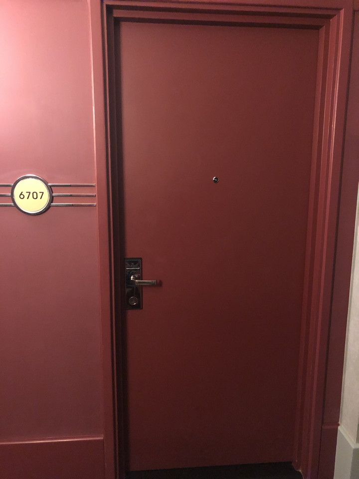 客室入口外観ドア