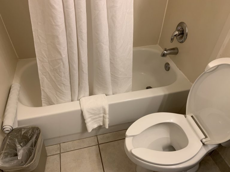 バスルームは日本のビジネスホテルと同じような広さです。(1)