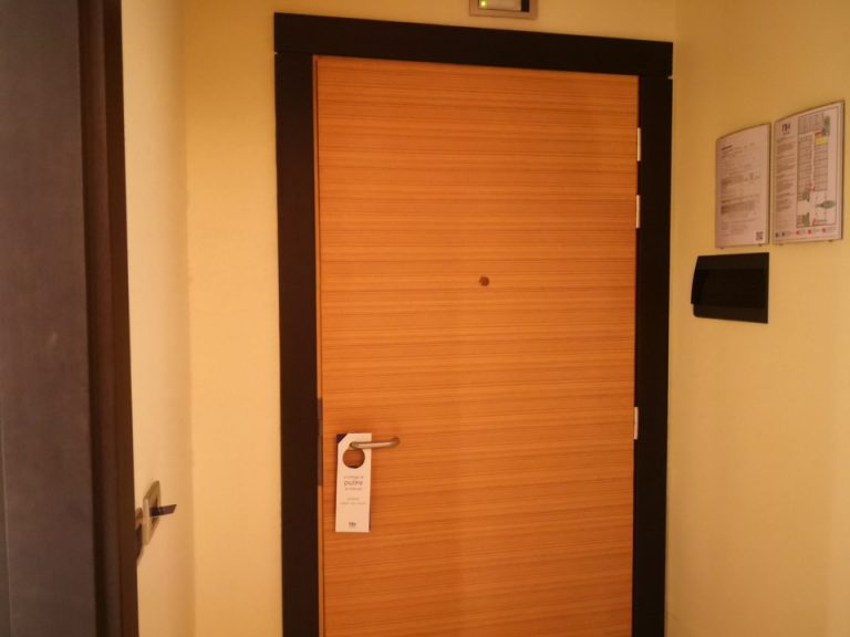 客室入口内観ドア01