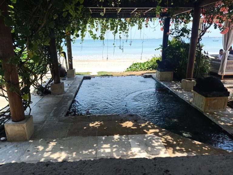 キッズクラブ(キッズプール)