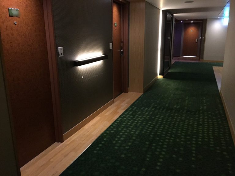 客室入り口付近廊下