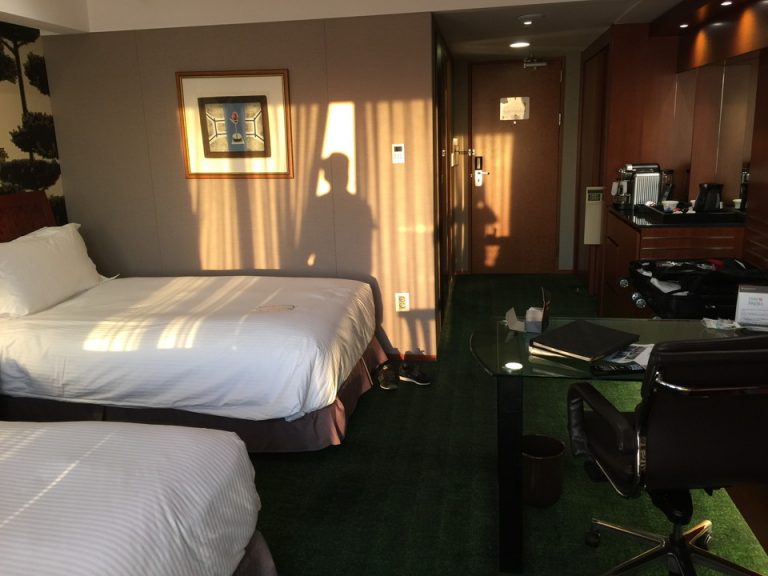 客室全体 窓側から②