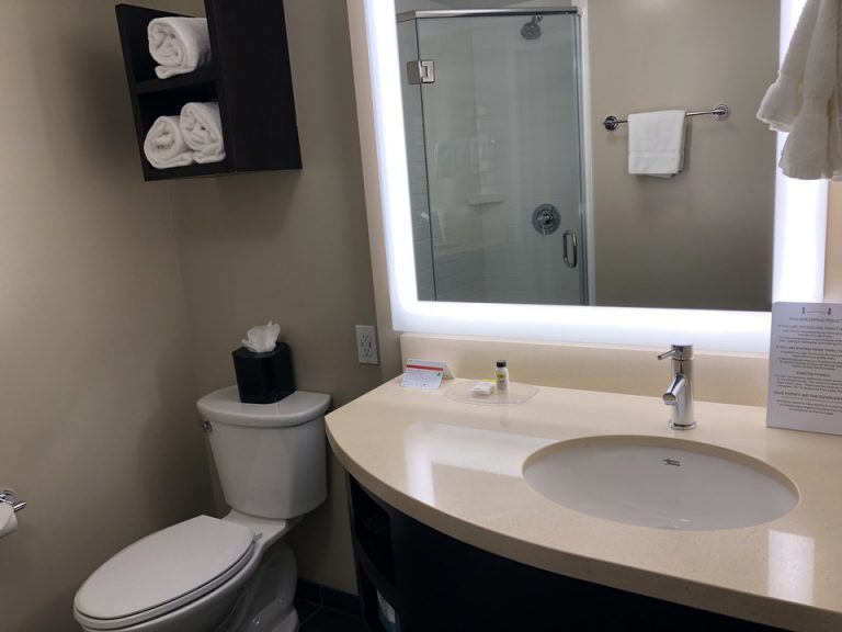 バスルームには洗面所とトイレが隣り合ってます