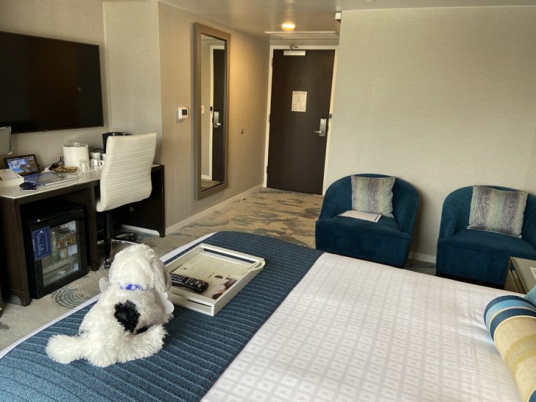 客室全体 入口方向