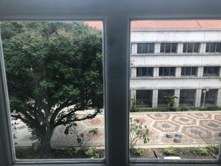 窓