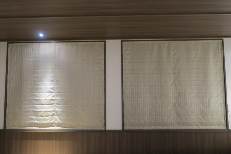 客室窓(遮光カーテンあり)