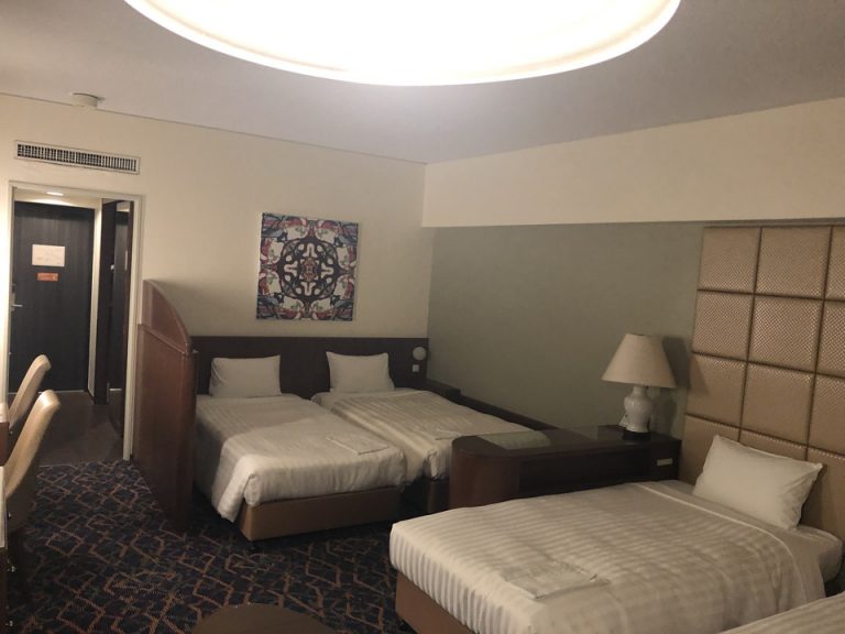 客室全体(窓際方向)