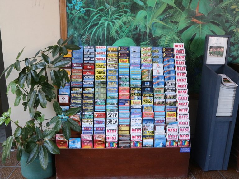 フロントロビーにアクティビティのパンフレットなどか置かれてました。