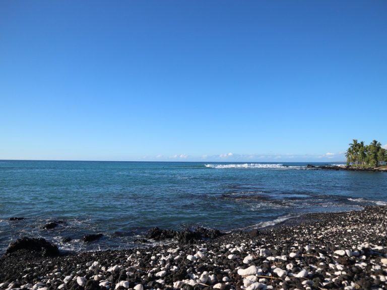 海