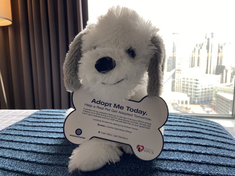 ベッド上 ぬいぐるみ