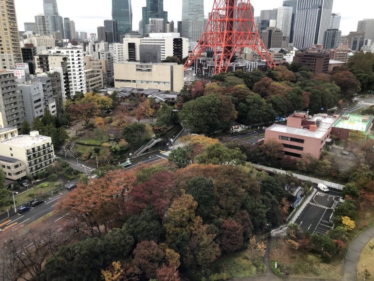 窓からの眺望(1)