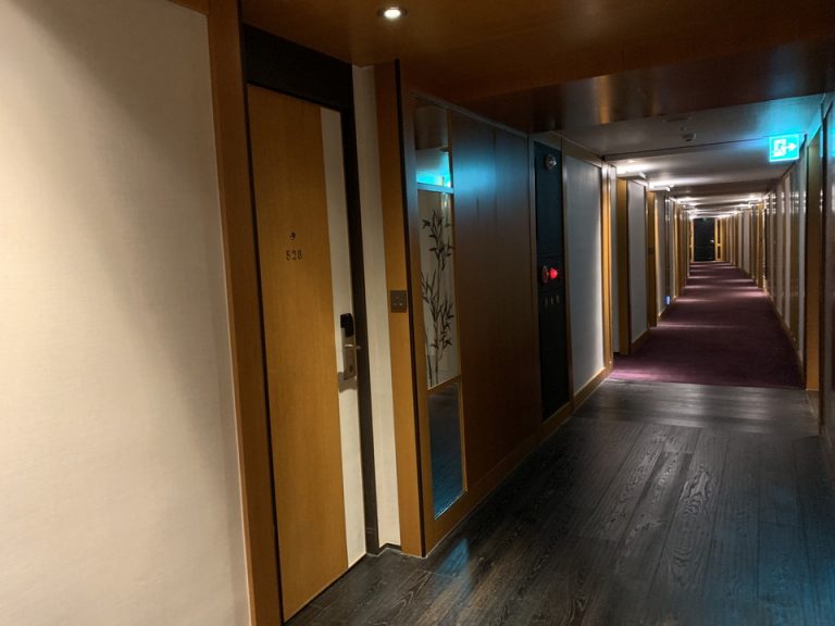 客室入口付近廊下01