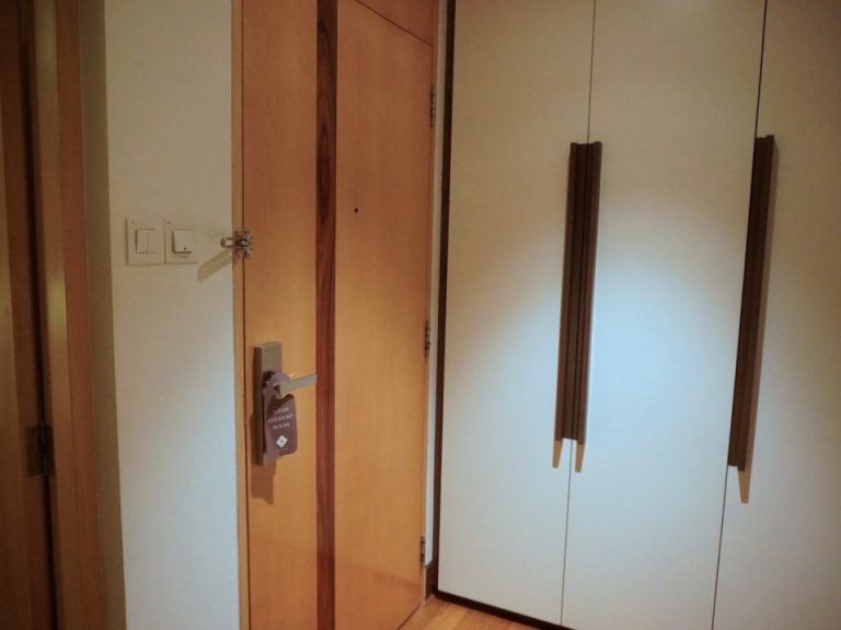 入り口扉とクローゼット