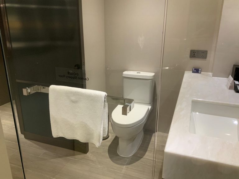 シャワー入口からトイレ