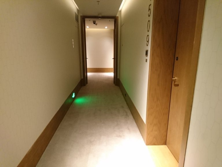 客室入口付近廊下