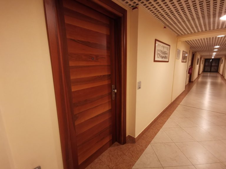 客室入口付近廊下