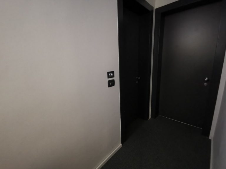 客室入口付近廊下