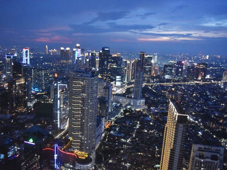 ラウンジからの眺め