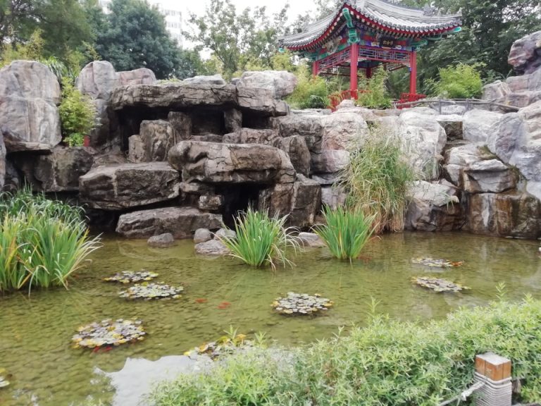 池づくりの庭園(敷地内)