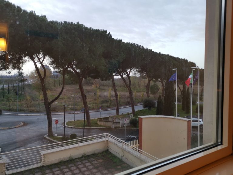 部屋からの眺望