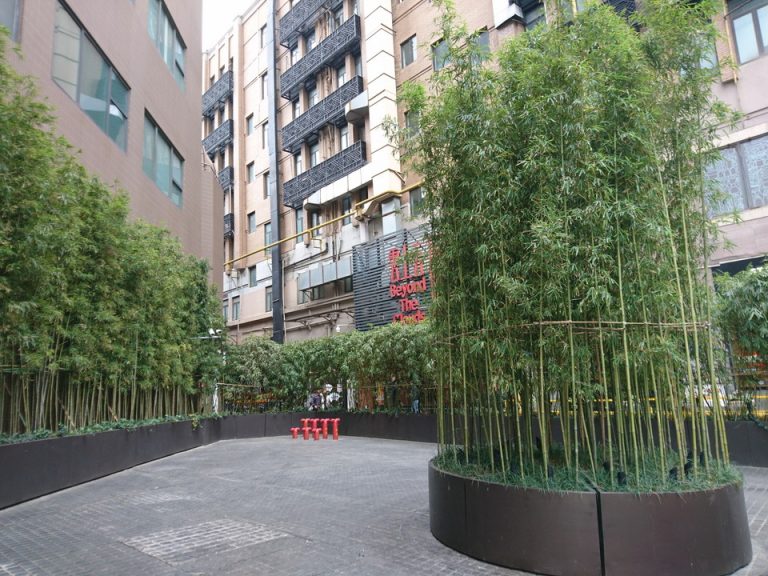 西エントランス車寄せ