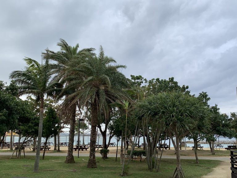 サンセットビーチ(公園エリア)