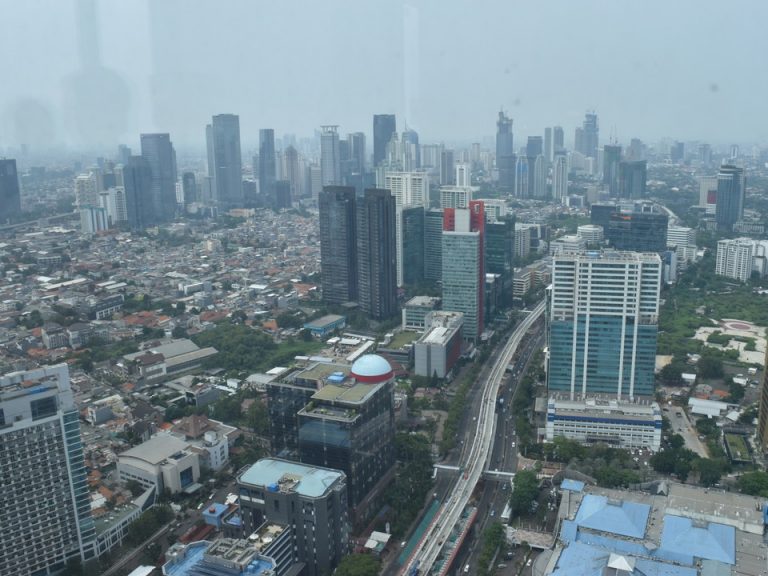 客室からの眺め