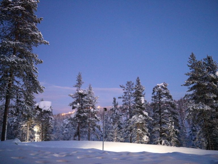 室内からの風景です。窓の目の前がクロスカントリーのコースになっており街灯で照らされています。奥にはスキー場の灯りも見えます。